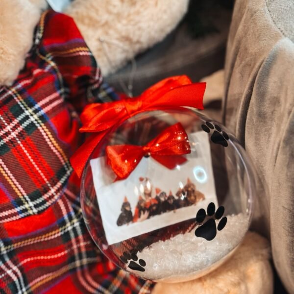 Christmas toy - Photo