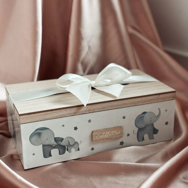 Gift Box - Pregnancy Announcement