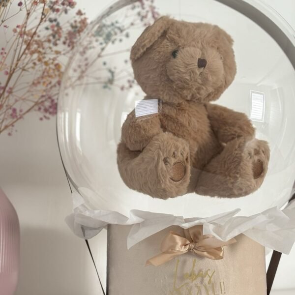 Personalizuota dovana balione - Teddy